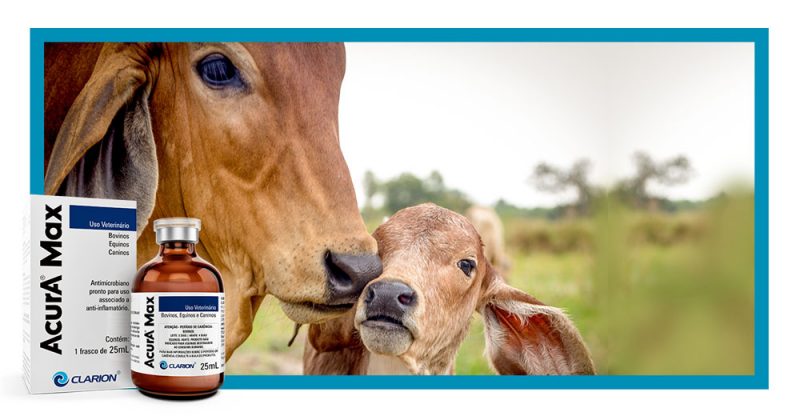 Acura Max 25ml VETOQUINOL